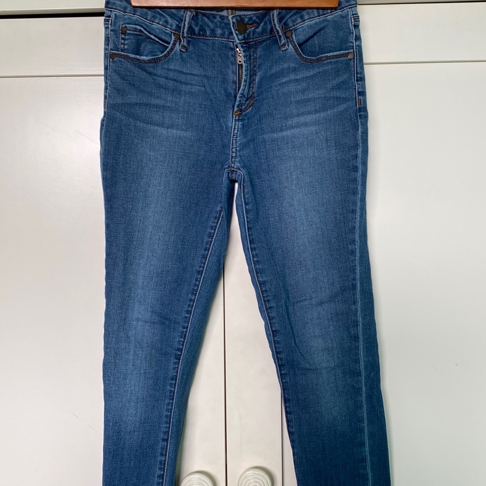 Articles of Society skinny jeans